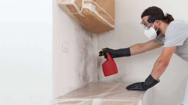 Professional Crawl Space Mold Remediation technician working in Grandy, NC