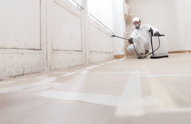 24/7 Emergency Crawl Space Mold Remediation experts in Grandy, NC